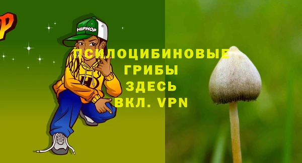СК Алексин